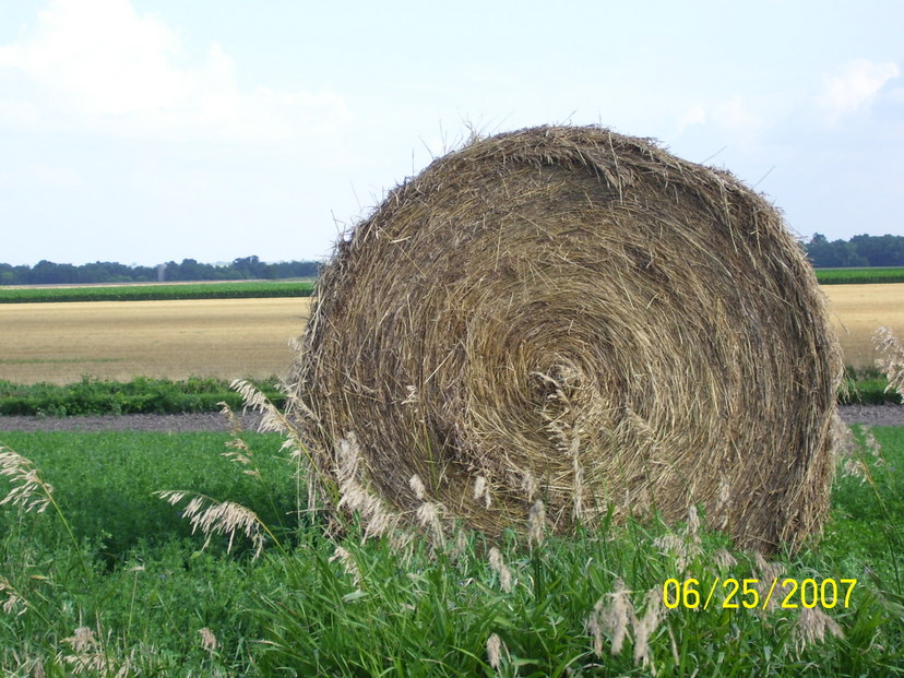 Marquette, KS: Hay Bail-East Of Marquette, Ks. Photo-Dick Linder