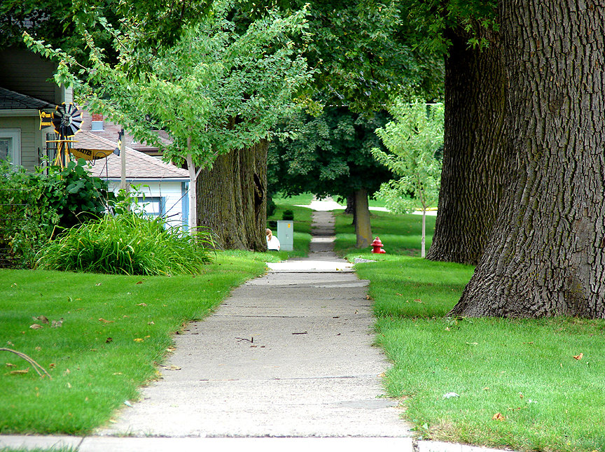 Schaller, IA: Even the sidewalks of Schaller are appealing.