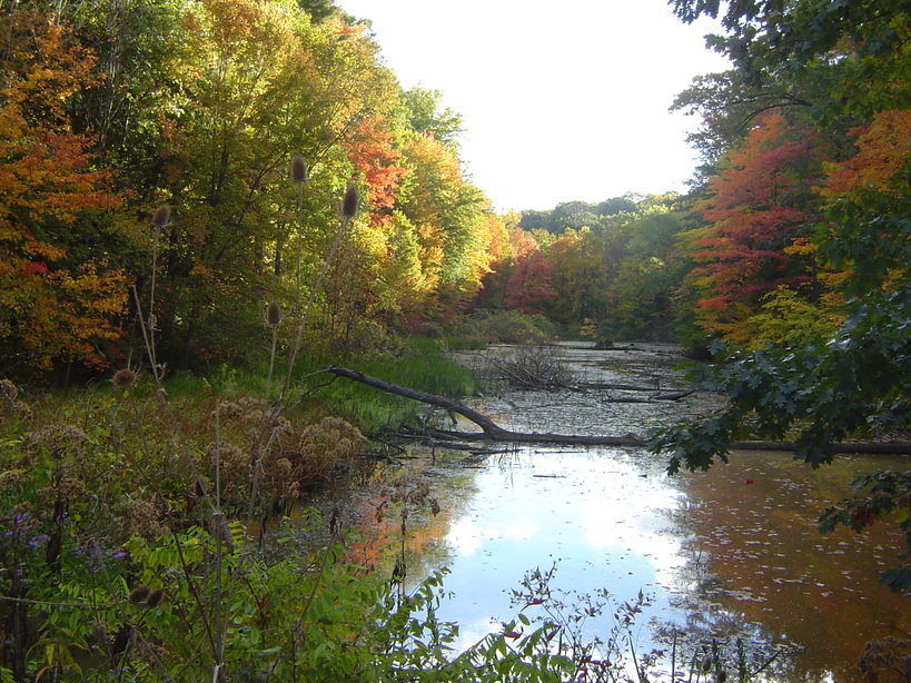 North Olmsted, OH: North Olmsted Metroparks
