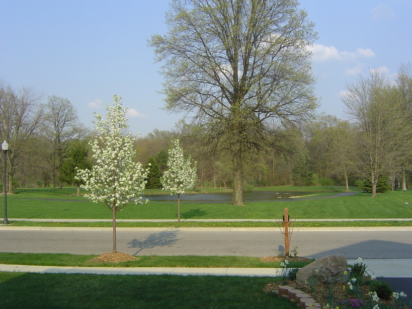 Pataskala, OH Brooksedge Subdivision Pond photo, picture, image (Ohio