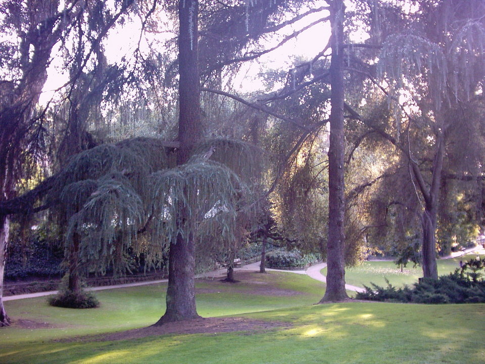 Whittier, CA Penn park, Whittier, ca photo, picture, image