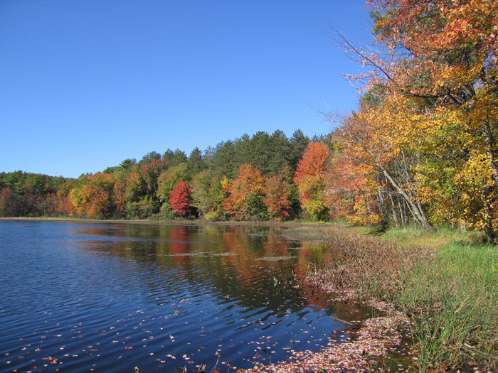 Holden, Ma : Holden Pond Autumn Photo, Picture, Image (massachusetts 