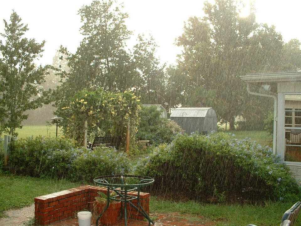Holiday, FL: Holiday in the Rain: Cypress Lake Park