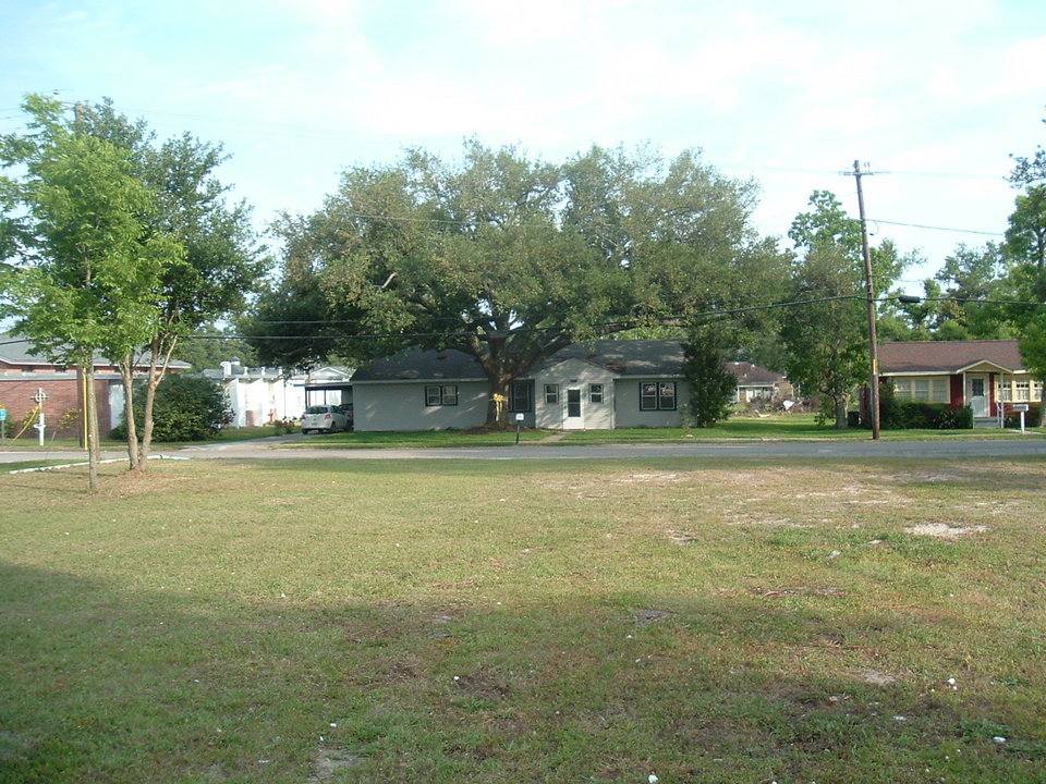 Long Beach, MS: House with yellow ribbon around 100 year old oak