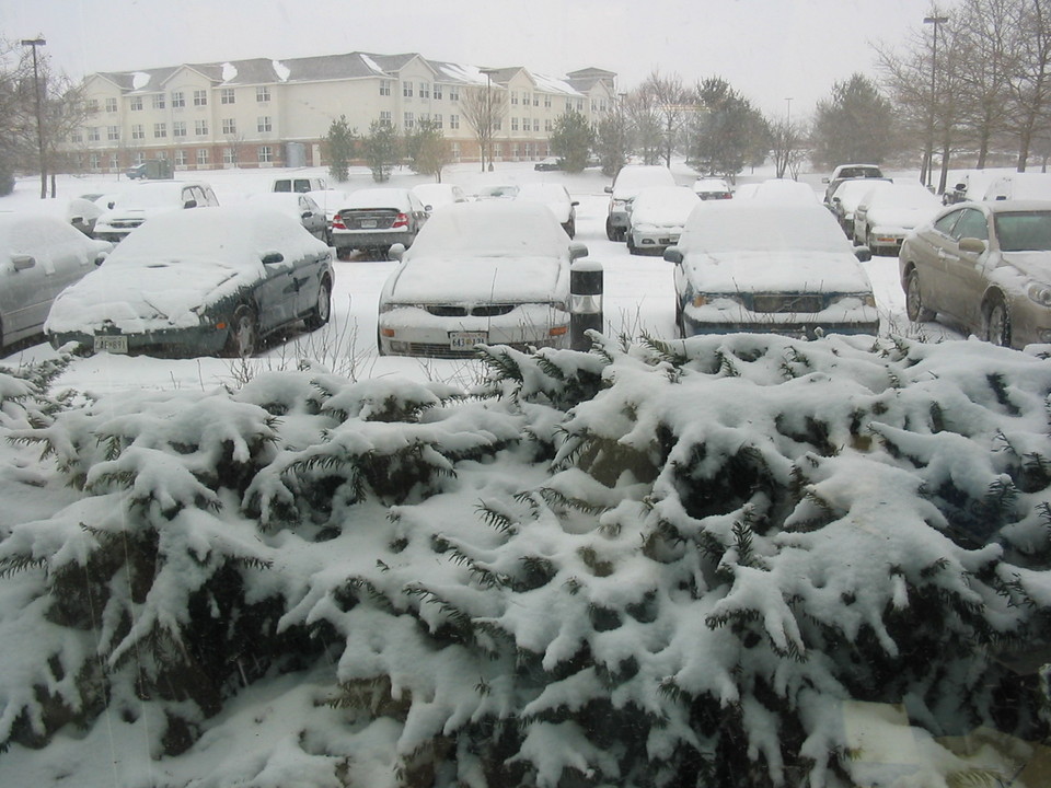 Columbia, MD: During snow fall of 2006...parking lot view from our office