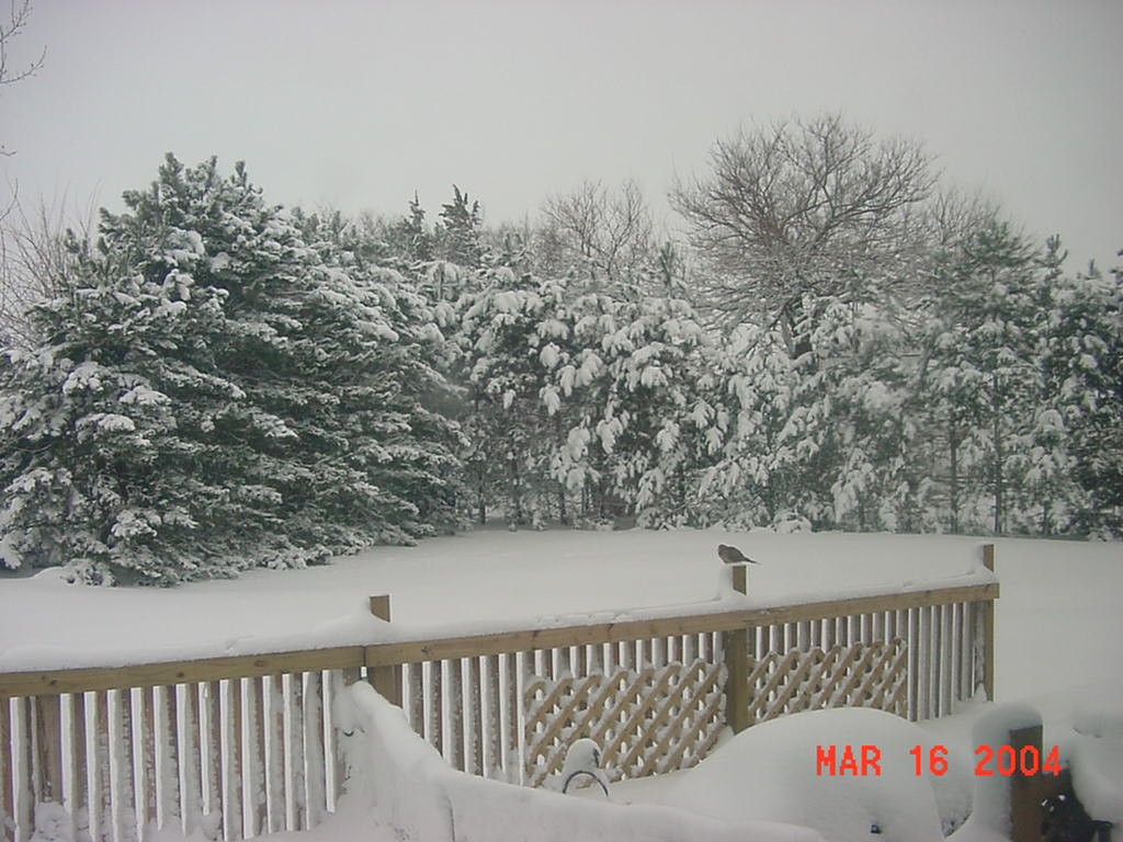 Fruitland, IA: A Snowy Winter Day in Fruitland