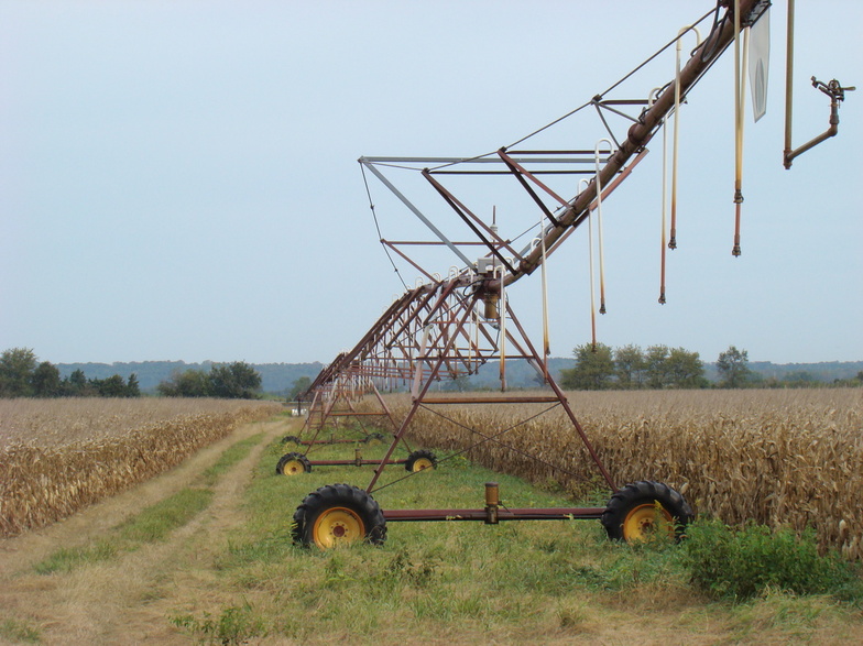 Fruitland, IA: Fall Fields in Fruitland