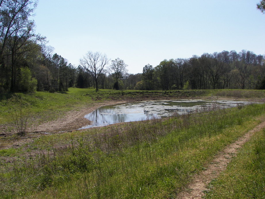 Elkmont, AL: Beautiful spring fed pond