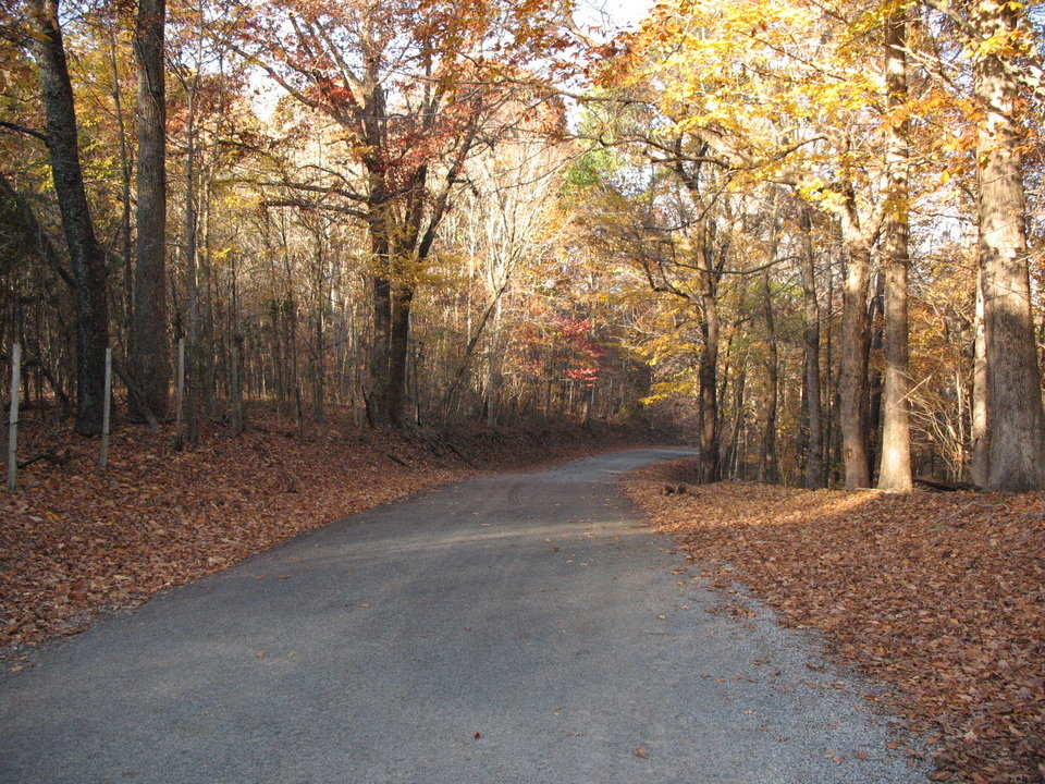 Elkmont, AL The Fall photo, picture, image (Alabama) at