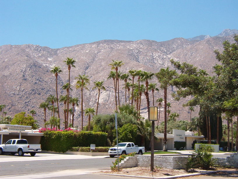 Palm Springs, CA : palm springs photo, picture, image (California) at ...