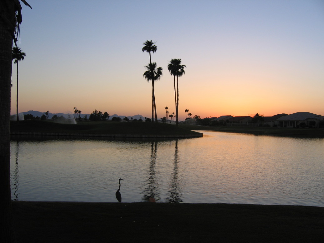 Sun Lakes, AZ: Oakwood Clubhouse Drive