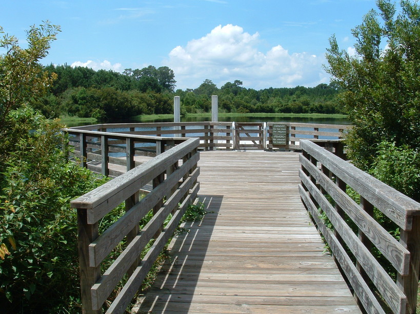 Hilton Head Island, SC: jarvis park in hilton head