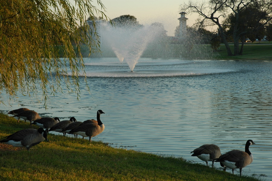 Melissa, TX: A Calm Fall Evening By The Pond