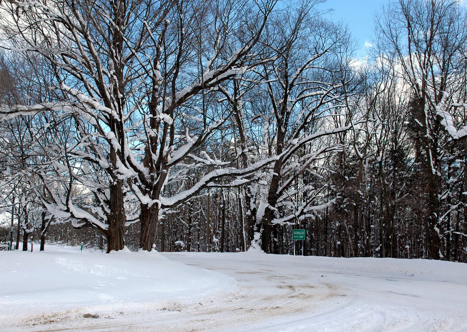 Gobles, MI: Mill Lake Road Gobles, MI - Snowy Day.