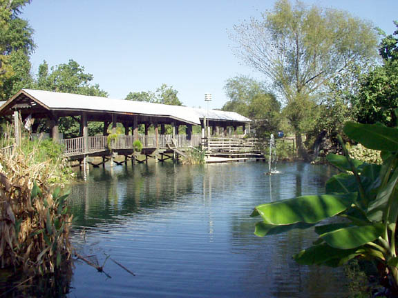 Shreveport, LA: Historic Covered Bridge at Garrison Gardens