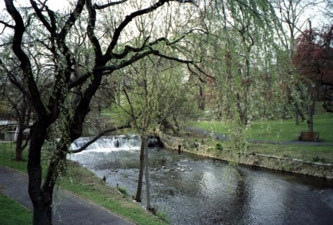 Wyomissing, PA: A beautiful early Spring day at Wyomissing Creek Park