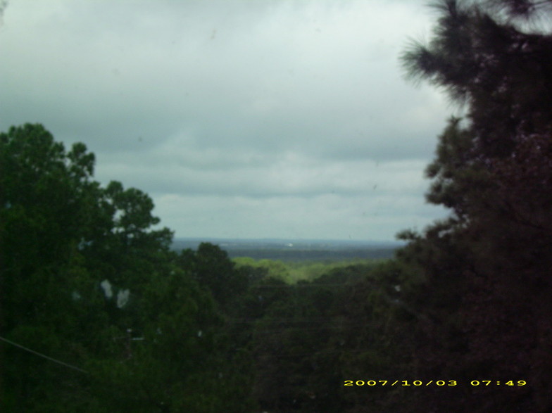 Bastrop, TX: view from pine tree loop