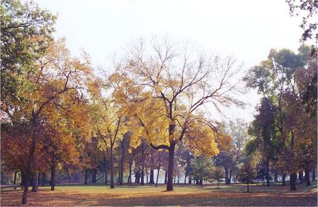 Cedar Rapids, IA: Ellis Park in Fall