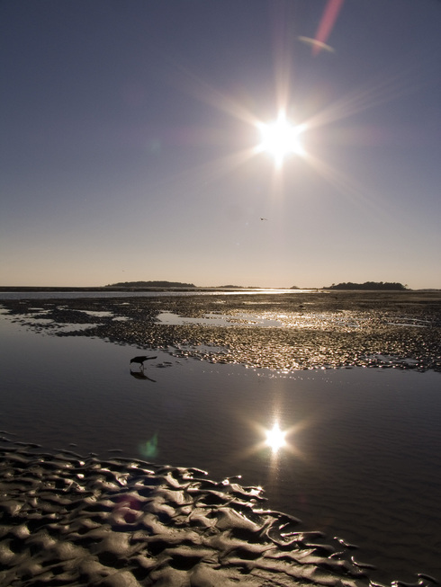 Tybee Island-Wilmington, GA: Tibee Beach