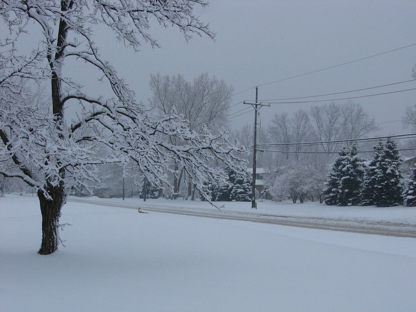 Waterford, MI Snow on lochaven road photo, picture, image (Michigan