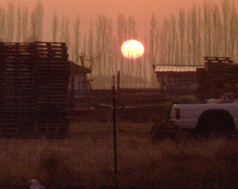 Wapato, WA: Red Sky in the Morning in Early Spring