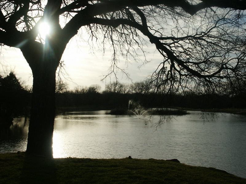 Kennedale, TX: Sonora Park Lake, Kennedale Tx