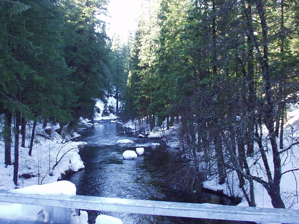 Tahoe Vista, CA: View of Creek in Tahoe Vista, CA