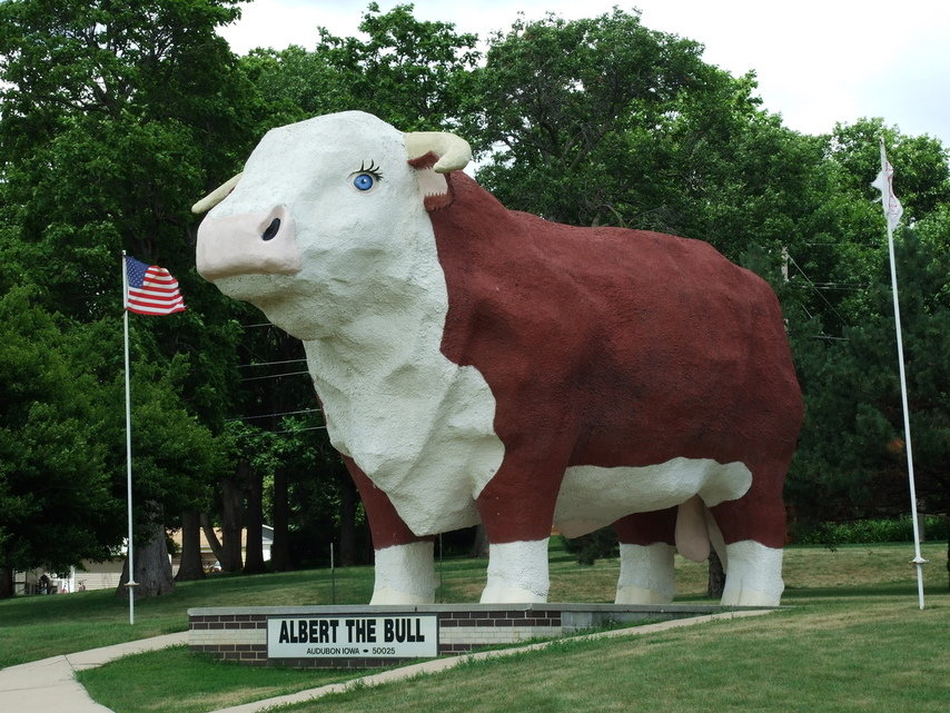 Audubon, IA: Albert the Bull