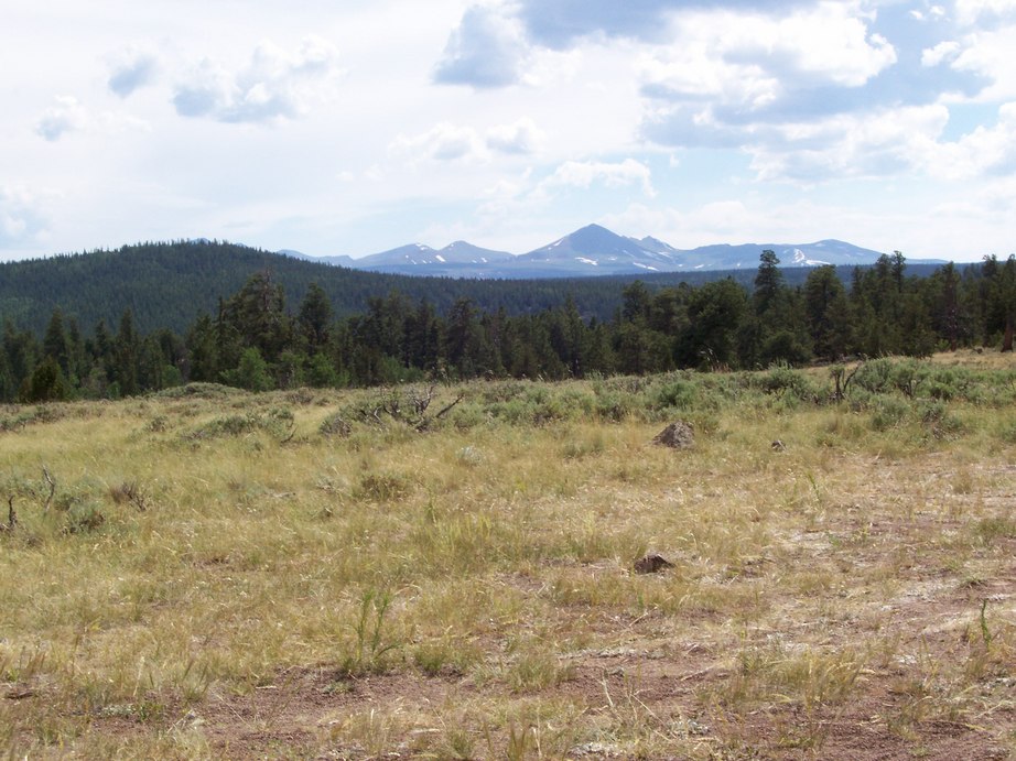 Gunnison, CO Public Land southeast of Gunnison in August. photo