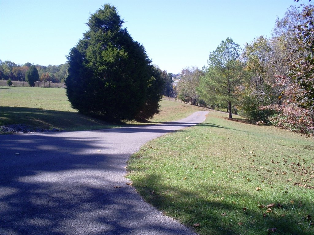 Scottsville, KY Just out on the front yard ! photo, picture, image