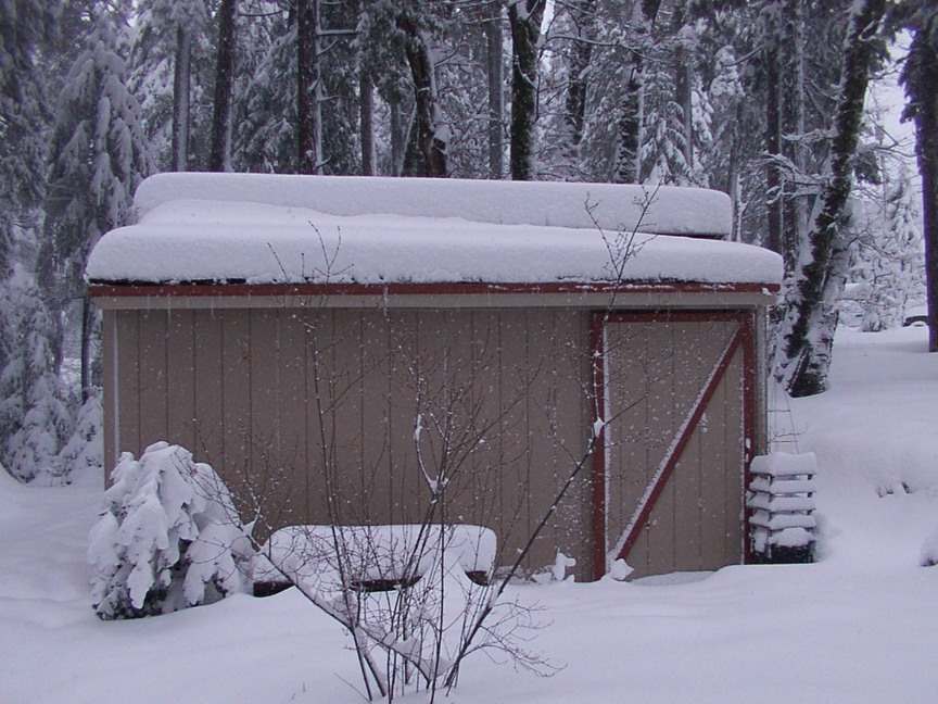 Pollock Pines, CA Falling Snow from 2005 photo, picture, image (California) at