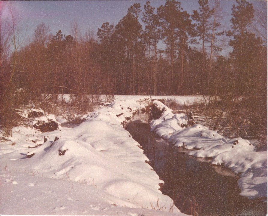 Portal, GA Creek in Winter photo, picture, image at city