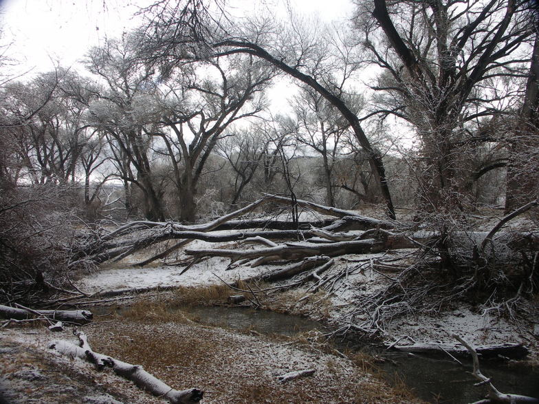 Prescott, AZ: Winter at Watson lake