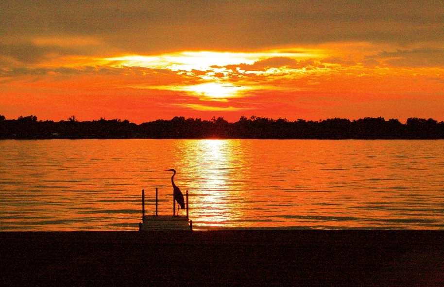 Russells Point, OH: Silhouette of Blue Heron at sunset over Indian Lake