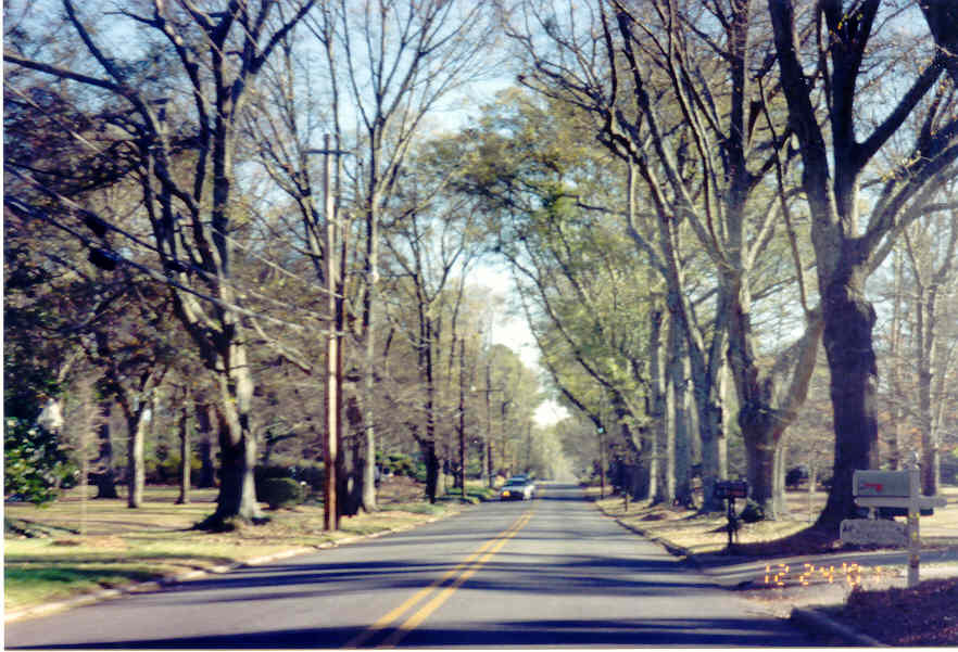 Griffin, GA: Maple Drive on a nice day