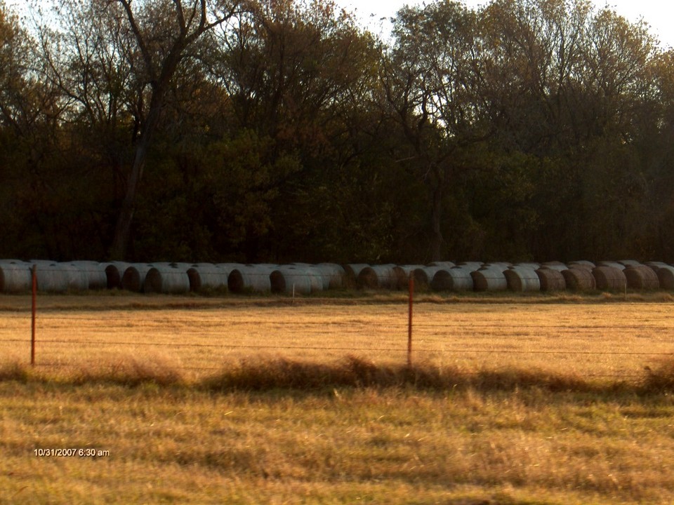 McLoud, OK: Cylinder shaped bales of hay, on a farm north side of McLoud