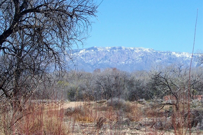Albuquerque, NM: View of Sandia Mountains from along the Rio Grande