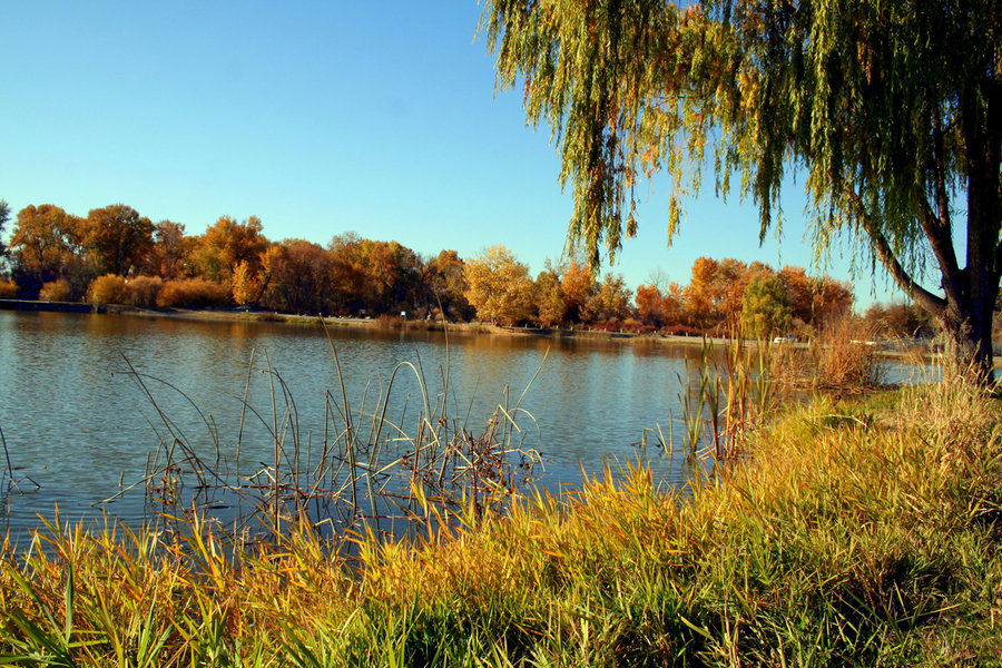 Granger, WA Granger's Hisey Park during the fall months photo