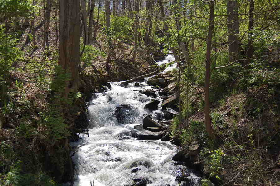 Maineville, OH: Hidden Stream (Maineville, Ohio)