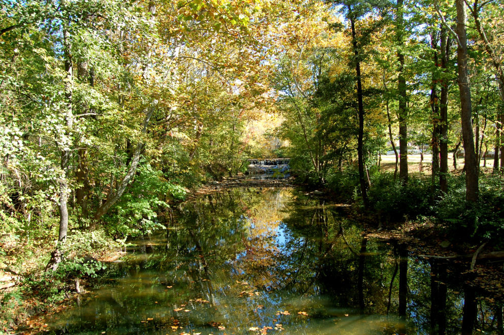 Sharonville, OH: Sharon Woods in the Fall