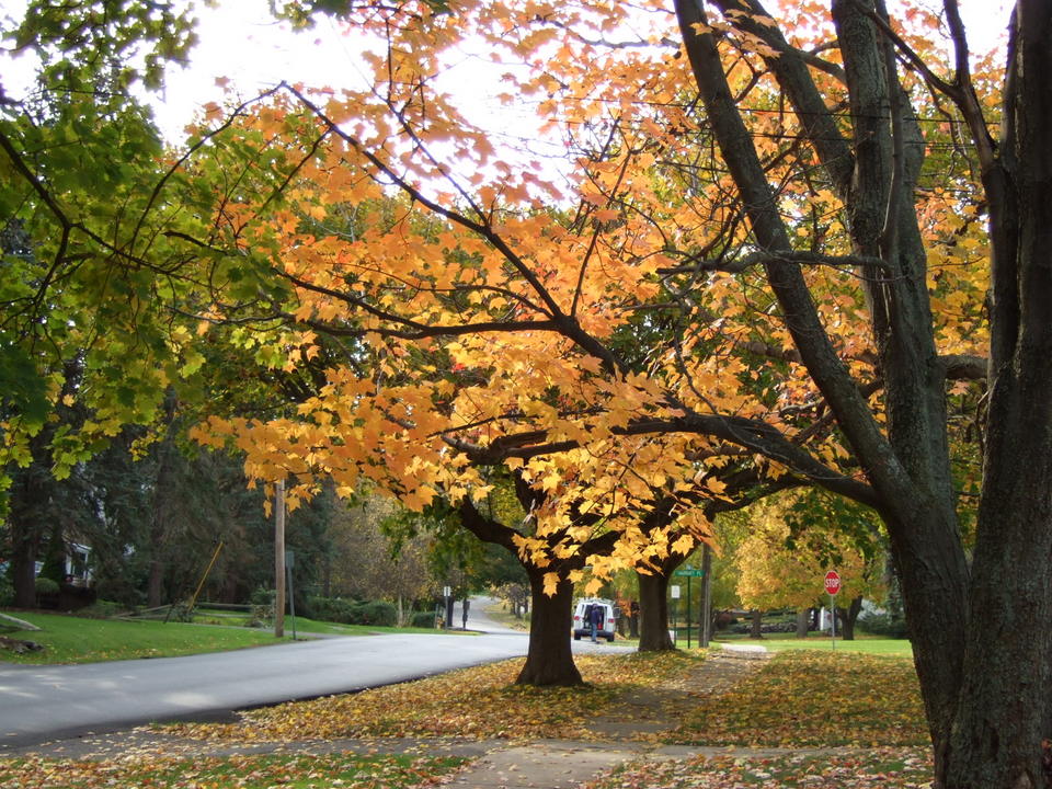 Whitesboro, NY: Curran Road 11/2007