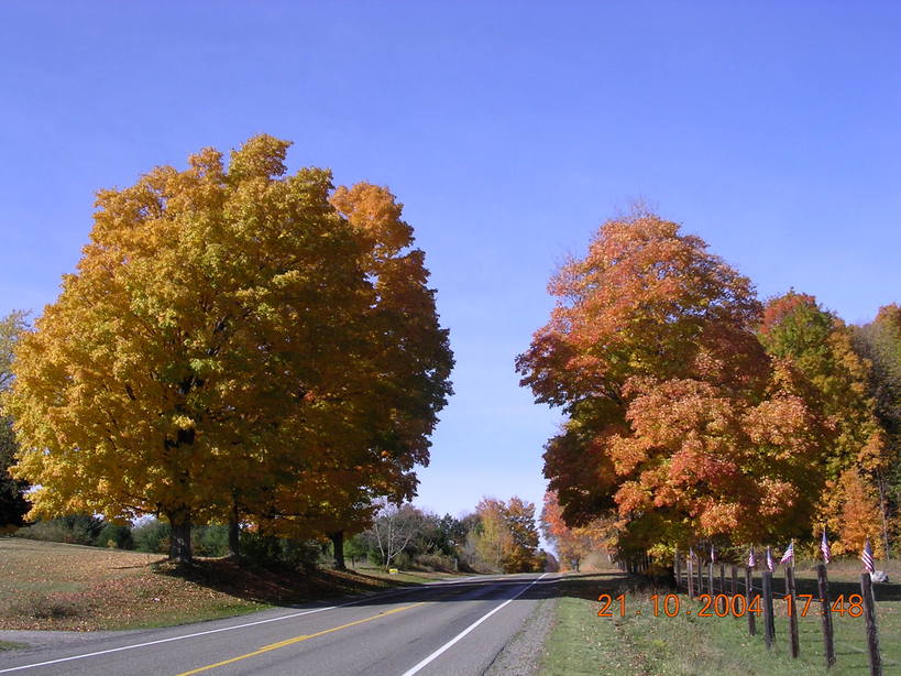 Bear Lake, MI: Entering Bear Lake, Michigan