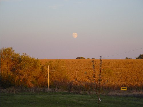 Columbus Junction, IA: Autumn moonrise over Columbus Junction