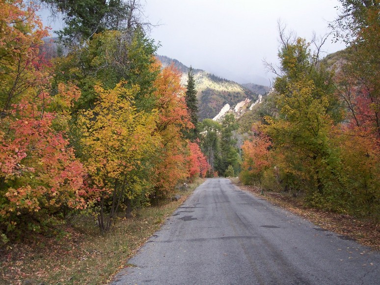 Nephi, UT: Scenic Nebo Loop Fall 2007