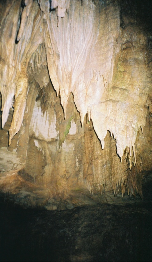 Cave City, KY: Mammoth Cave, Cave City, KU