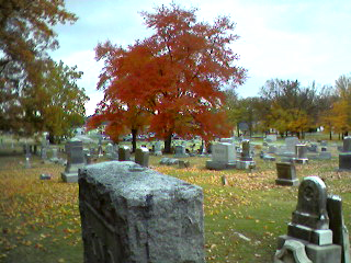 Brownsville, TN: Oakwood Cemetery