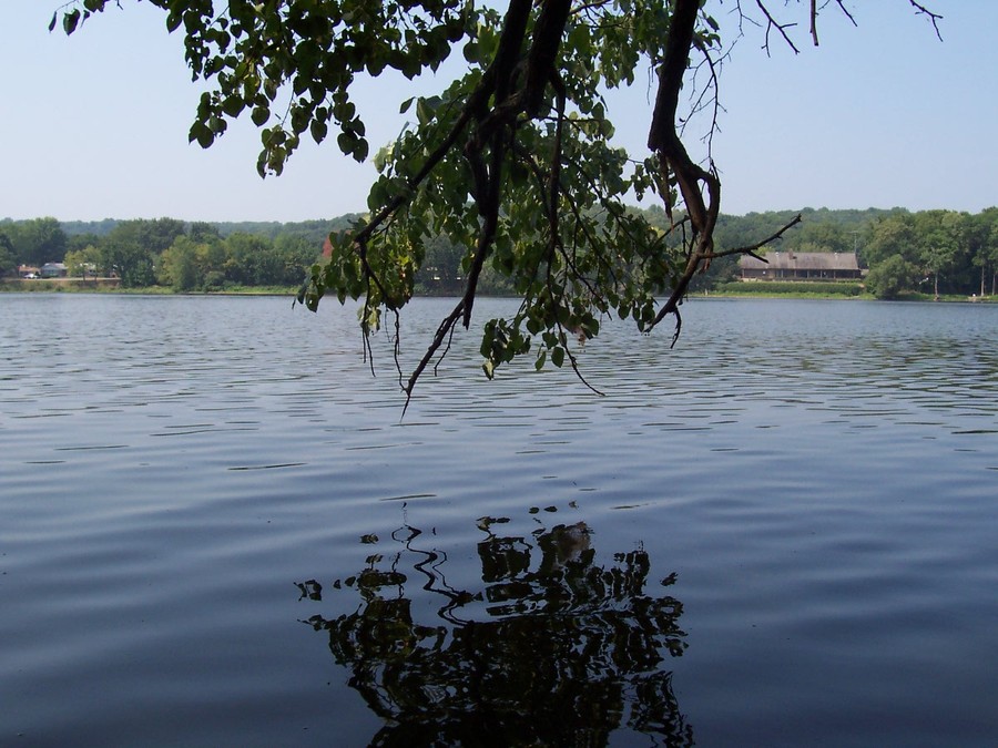 Oregon, IL: Rock River (viewing West)