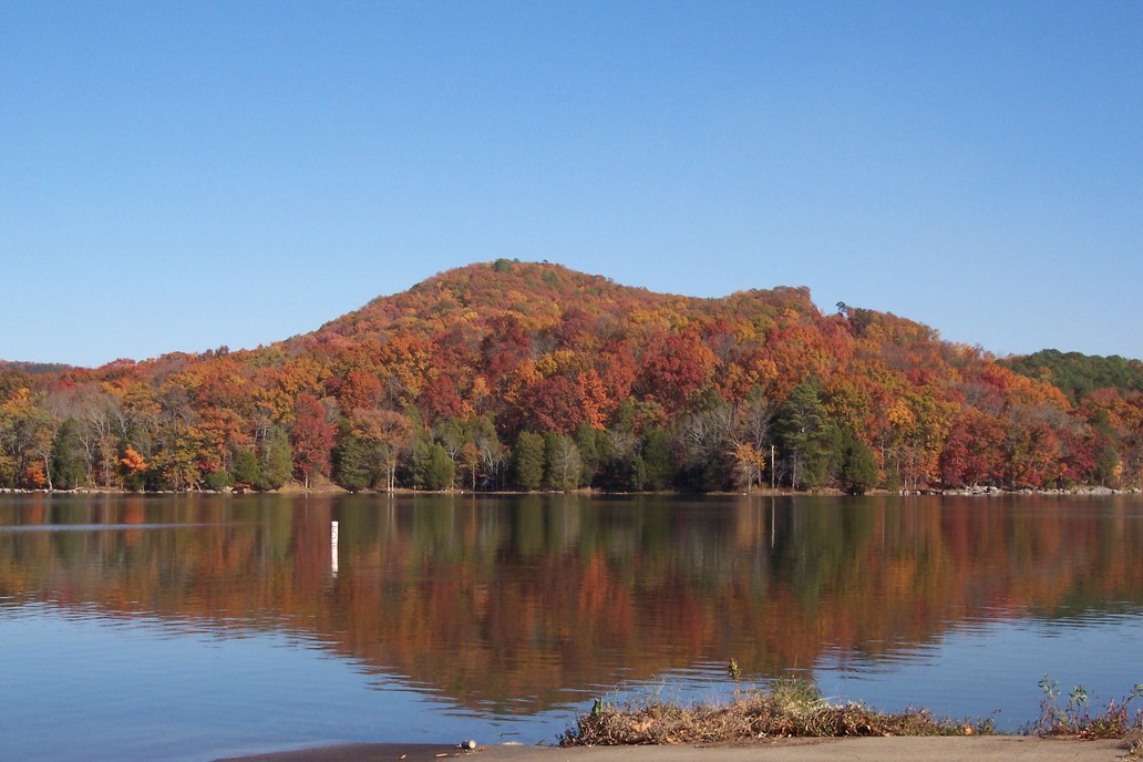 Guntersville, AL: Beautiful Fall Color on Lake Guntersville!