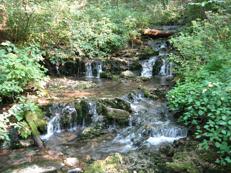 Mill Springs, KY: waterfall at Mill Springs Park