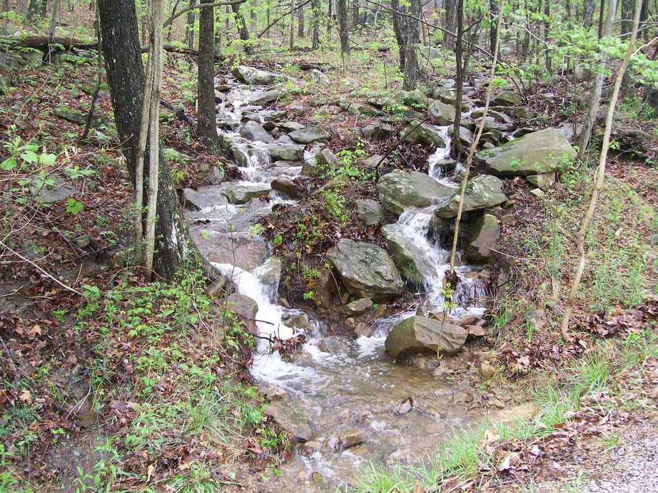 Fairfield Glade, TN: Rainy Season at FFG